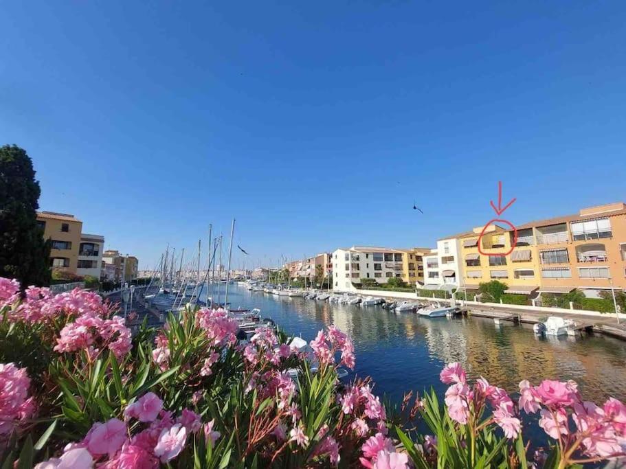 Cap'Nomad Studio Cote Port - Terrasse - Piscine - Parking Agde Exterior photo